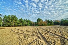 Sandkasten im XXL-Format: Der Truppenübungsplatz Oldenburg-Bümmerstede. Foto: Hans-Jürgen Zietz