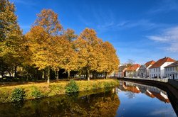 Herbstbunte Linden in der Oldenburger Innenstadt. Foto: Hans-Jürgen Zietz