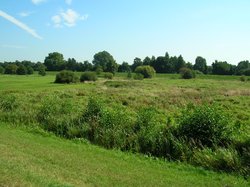 Buschhagenniederung. Foto: Stadt Oldenburg