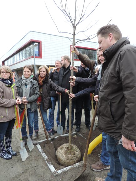 Mehrere Erwachsene mit einem Baum, der gepflanzt werden soll. Foto: Stadt Oldenburg