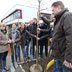 Vorschau: Mehrere Erwachsene mit einem Baum, der gepflanzt werden soll. Foto: Stadt Oldenburg