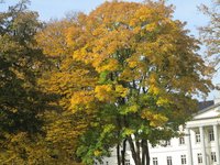 Herbstliche Wallanlagen. Foto: Werner Fuhlrott