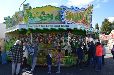 Springfrosch. Foto: Stadt Oldenburg