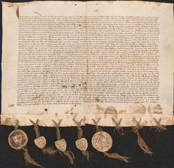 Die Stadtrechtsurkunde der Stadt Oldenburg. Foto: Stadtmuseum Die Stadtrechtsurkunde der Stadt Oldenburg. Foto: Stadtmuseum