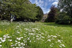 Bunte Sommer-Blüten im Oldenburger Schlossgarten. Foto: Hans-Jürgen Zietz Bunte Sommer-Blüten im Oldenburger Schlossgarten. Foto: Hans-Jürgen Zietz