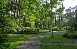 Aufnahme vom Waldfriedhof Ofenerdiek. Foto: Stadt Oldenburg