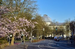 Kirschenblüten vor dem Oldenburger Staatstheater. Foto: Hans-Jürgen Zietz Kirschenblüten vor dem Oldenburger Staatstheater. Foto: Hans-Jürgen Zietz