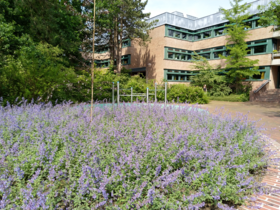 Landesbildungszentrum für Hörgeschädigte. Foto: Landesbildungszentrum für Hörgeschädigte