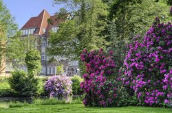 Rohdodendren an der Mühlenhunte. Hans-Jürgen Zietz