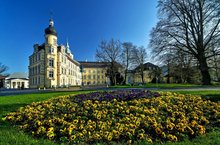 Stiefmütterchen vor dem Oldenburger Schloss. 