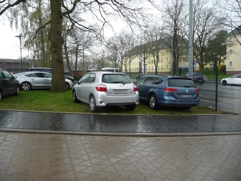 Autos stehen auf einer Wiese. Foto: Stadt Oldenburg
