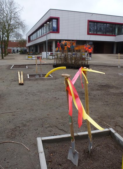 Spaten und Pflanzen stehen bereit. Foto: Stadt Oldenburg