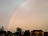 Regenbogen über dem Standesamt