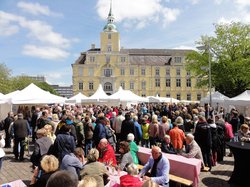 Blick auf den Nikolaimarkt. Foto: S. Scharmann