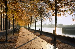 Herbst am Stadthafen von Oldenburg (Oldb). Foto: Hans-Jürgen Zietz