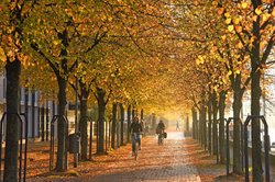 Herbst am Stadthafen von Oldenburg (Oldb). Foto: Hans-Jürgen Zietz