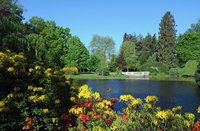 Ein Morgen im Mai: Frühling im Oldenburger Schlossgarten