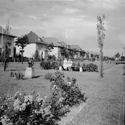 Die Grünanlage an der Schleusenstraße um 1937 mit neu gepflanzten Gehölzen. Foto: Stadtmuseum Oldenburg