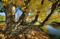 Herbst in den Wallanlagen. Foto: Hans-Jürgen Zietz