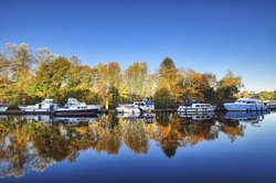 Goldenes Laub an der Hunte. Foto: Hans-Jürgen Zietz