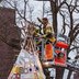 Vorschau: Feuerwehrmänner beim Neubinden. Foto: David Bernhardt