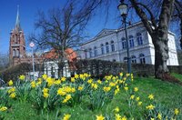 Blick auf Teile  &#8209; Frühling in den Oldenburger Wallanlagen II