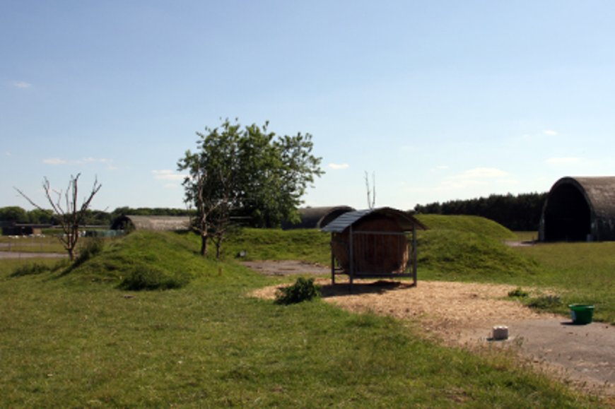 Futterstelle für Schafe. Foto: Stadt Oldenburg