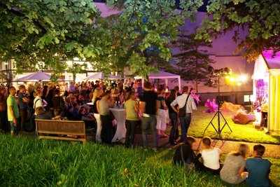 Musik im Museumsgarten bei der Museumsnacht. Foto: Bastian Spille