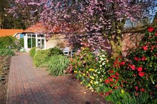 Frühlingstage im Oldenburger Schlossgarten. Foto: Hans-Jürgen Zietz