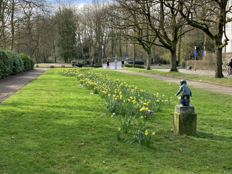 Frühjahrsblüher leuchten im Rasen der Grünanlage. Foto: Stadt Oldenburg