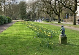 Frühjahrsblüher leuchten im Rasen der Grünanlage. Foto: Stadt Oldenburg