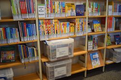 Blick auf Bücher und Medienboxen. Foto: Jan-Hauke