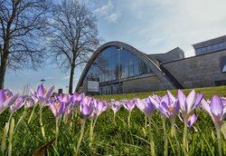 Blütenteppich vor der Weser-Ems-Halle. Foto: Hans-Jürgen Zietz