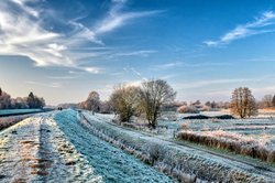 Winterlandschaft in der Buschhagenniederung. Foto: Hans-Jürgen Zietz