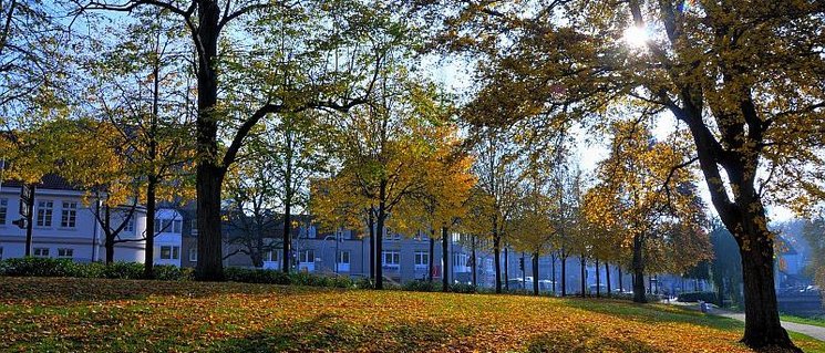 Herbst in den Wallanlagen. Foto: Hans-Jürgen Zietz Herbst in den Wallanlagen. Foto: Hans-Jürgen Zietz