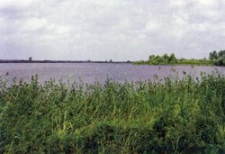 Blick über den großen Bornhorster See. Foto: Stadt Oldenburg