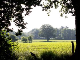 Blick in die Südbäkeniederung. Foto: Stadt Oldenburg