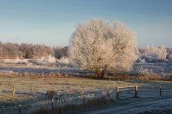 Wintermorgen in der Buschhagenniederung in Oldenburg. Foto: Hans-Jürgen Zietz 