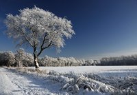 Verschneite Hunteniederung