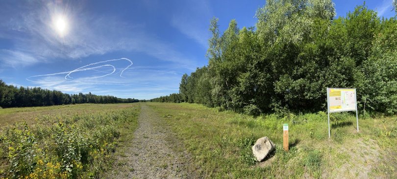 Der Info-Lehrpfad im Naturschutzgebiet Bahndammgelände Krusenbusch. Foto: Stadt Oldenburg