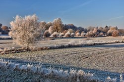 Wintermorgen in der Buschhagenniederung in Oldenburg. Foto: Hans-Jürgen Zietz 