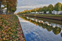 Ahornbäume in Herbstfärbung. Foto: Hans-Jürgen Zietz