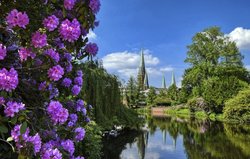 Rhododendronblüte am Schlossgartenteich. Hans-Jürgen Zietz