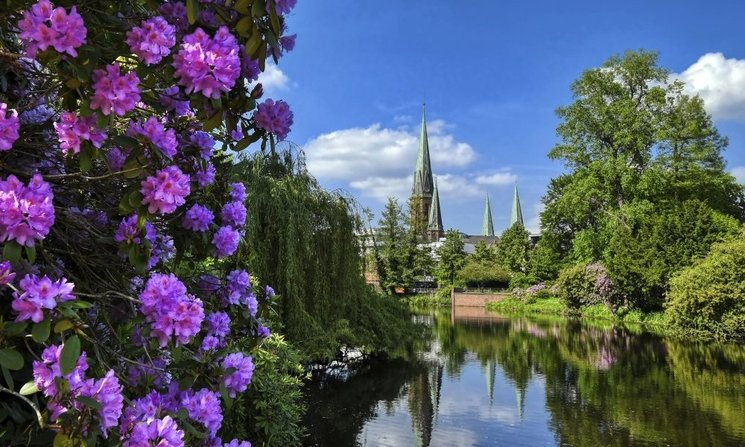 Rhododendronblüte am Schlossgartenteich. Hans-Jürgen Zietz