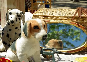 Stofftiere suchen neues zu Hause. Foto: pixabay.de/jackmac34