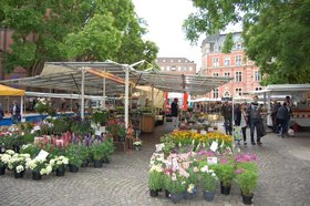 Wochenmarkt auf dem Rathausmarkt. Foto: Stadt Oldenburg