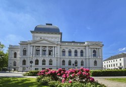 Blühende Alpenrosen am Staatstheater. Foto: Hans-Jürgen Zietz