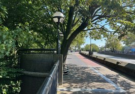 Die abgekippte Linde auf der Amalienbrücke muss kurzfristig gefällt werden. Foto: Stadt Oldenburg