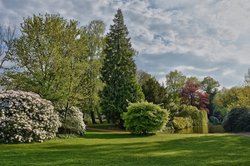 Blick auf den Schlossgartenteich. Foto: Hans-Jürgen Zietz