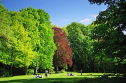 Schloßgarten. Foto: Hans-Jürgen Zietz 